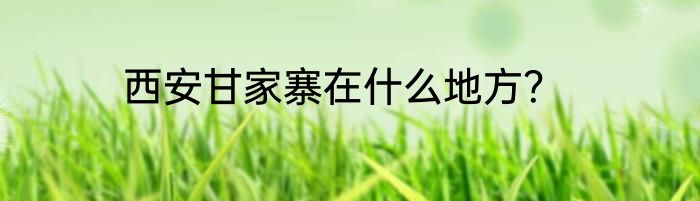 西安甘家寨在什么地方？