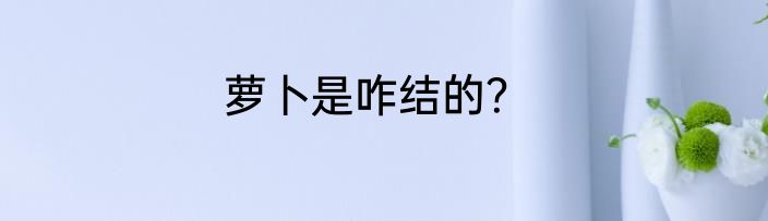 萝卜是咋结的？