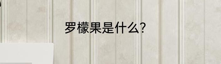 罗檬果是什么？