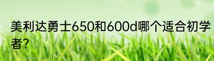 美利达勇士650和600d哪个适合初学者？
