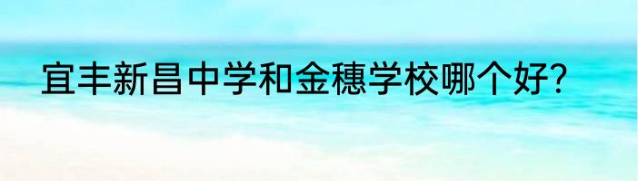 宜丰新昌中学和金穗学校哪个好？