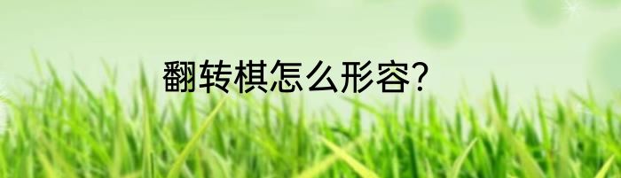 翻转棋怎么形容？