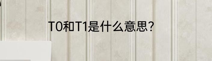 T0和T1是什么意思？