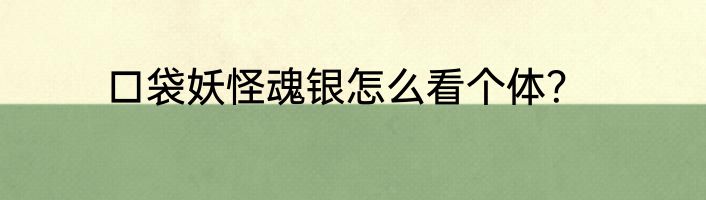 口袋妖怪魂银怎么看个体？
