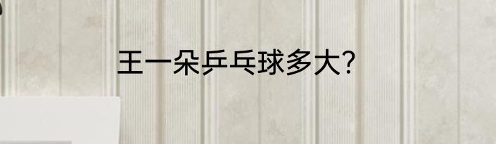 王一朵乒乓球多大？