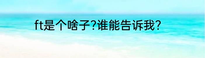 ft是个啥子?谁能告诉我？