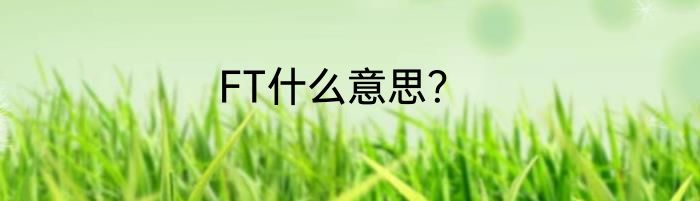 FT什么意思？