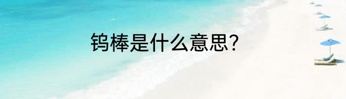 钨棒是什么意思？