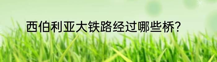 西伯利亚大铁路经过哪些桥？