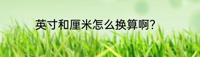 英寸和厘米怎么换算啊？