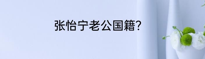 张怡宁老公国籍？