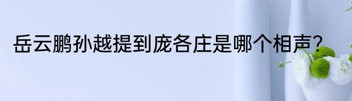 岳云鹏孙越提到庞各庄是哪个相声？