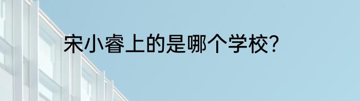 宋小睿上的是哪个学校？