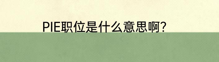 PIE职位是什么意思啊？