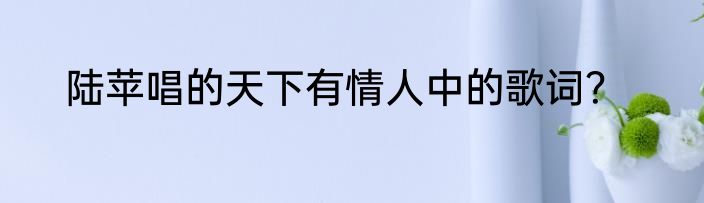 陆苹唱的天下有情人中的歌词？