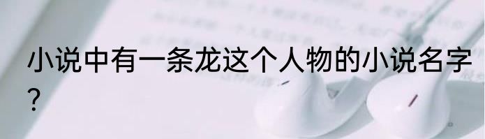 小说中有一条龙这个人物的小说名字？