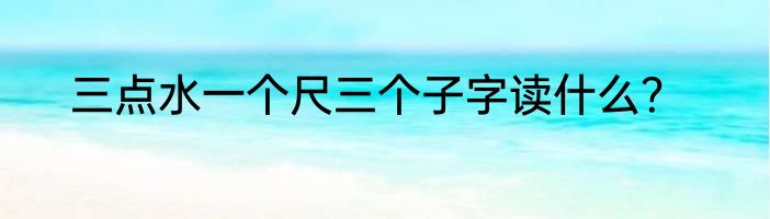 三点水一个尺三个子字读什么？