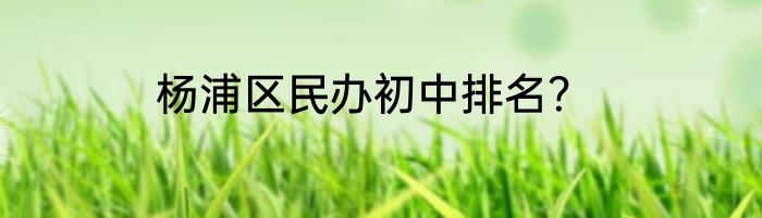 杨浦区民办初中排名？