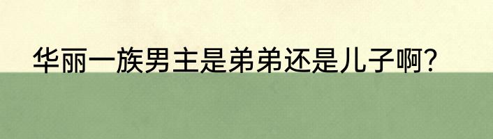 华丽一族男主是弟弟还是儿子啊？