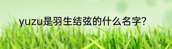 yuzu是羽生结弦的什么名字？