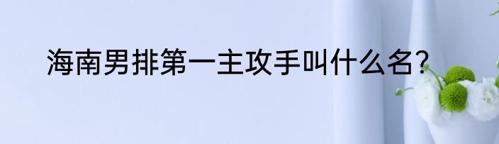 海南男排第一主攻手叫什么名？