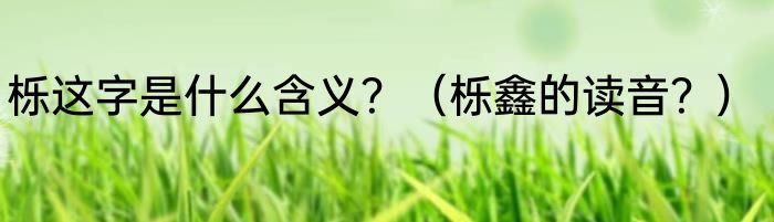 栎这字是什么含义？（栎鑫的读音？）