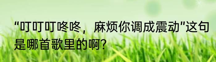 “叮叮叮咚咚，麻烦你调成震动”这句是哪首歌里的啊？