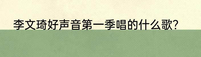 李文琦好声音第一季唱的什么歌？