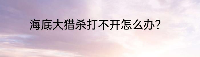 海底大猎杀打不开怎么办？