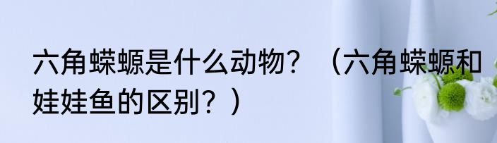 六角蝾螈是什么动物？（六角蝾螈和娃娃鱼的区别？）