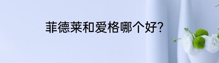 菲德莱和爱格哪个好？