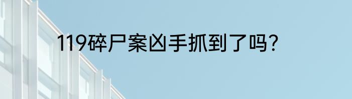 119碎尸案凶手抓到了吗？