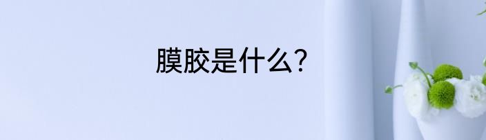 膜胶是什么？