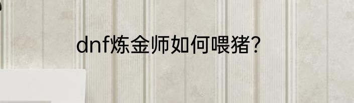 dnf炼金师如何喂猪？