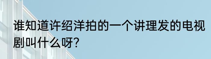谁知道许绍洋拍的一个讲理发的电视剧叫什么呀？