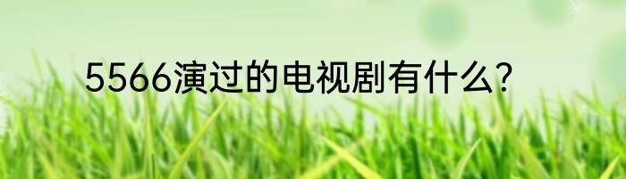 5566演过的电视剧有什么？
