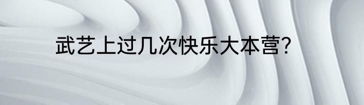 武艺上过几次快乐大本营？