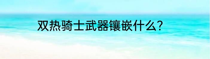 双热骑士武器镶嵌什么？