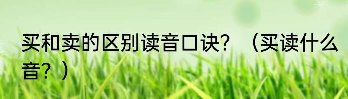 买和卖的区别读音口诀？（买读什么音？）