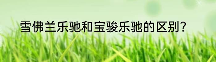 雪佛兰乐驰和宝骏乐驰的区别？
