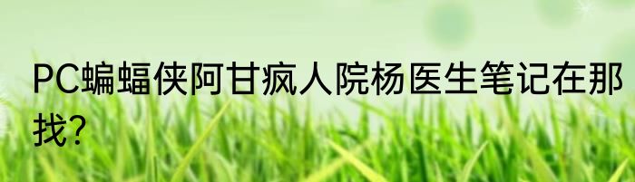 PC蝙蝠侠阿甘疯人院杨医生笔记在那找？