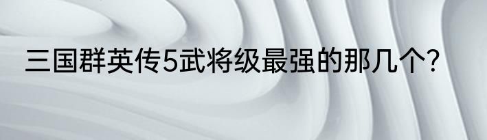 三国群英传5武将级最强的那几个？