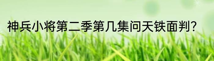 神兵小将第二季第几集问天铁面判？