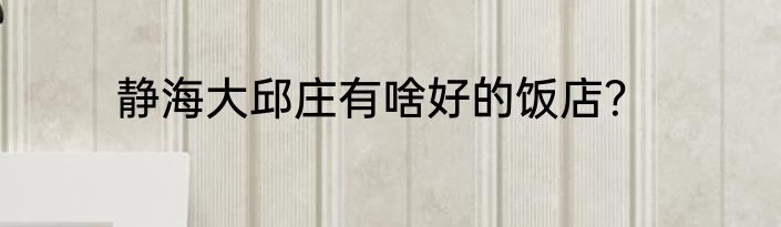 静海大邱庄有啥好的饭店？