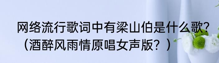 网络流行歌词中有梁山伯是什么歌？（酒醉风雨情原唱女声版？）