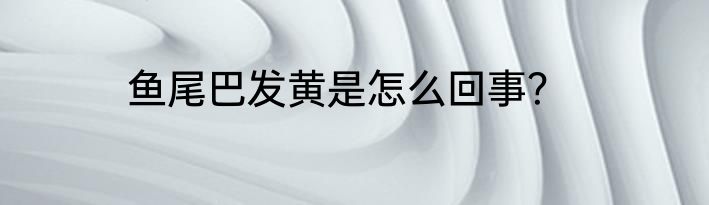 鱼尾巴发黄是怎么回事？