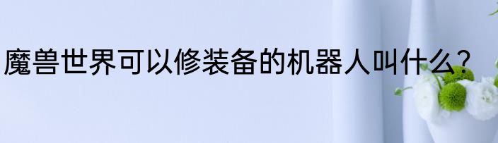 魔兽世界可以修装备的机器人叫什么？