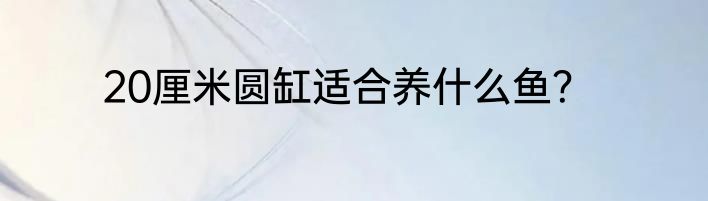 20厘米圆缸适合养什么鱼？