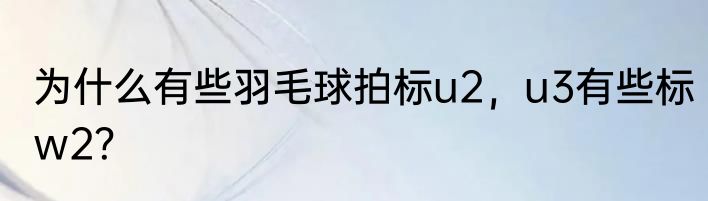 为什么有些羽毛球拍标u2，u3有些标w2？