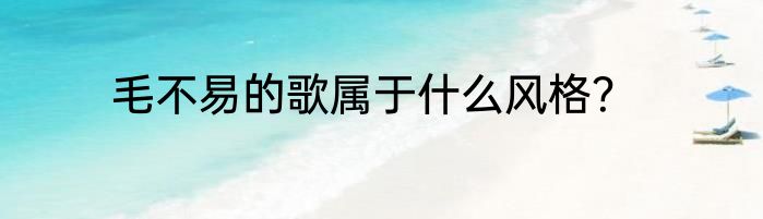 毛不易的歌属于什么风格？